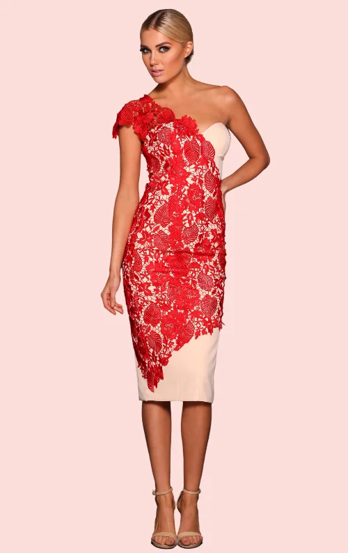 Frankie Lace Dress - Red Lace Dress Chic